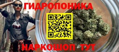 стафф Краснодар