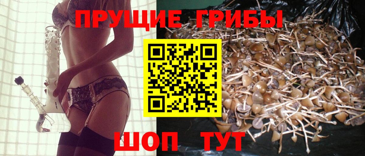Казань  Псилоцибиновые грибы Magic Shrooms  Вход с VPN 